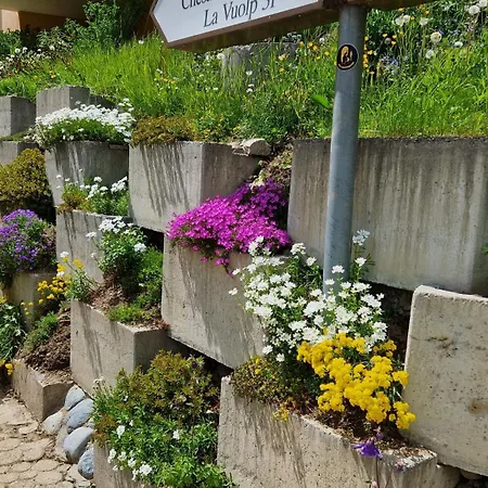 Appartamento Chesa Bellaval, Haus La Vuolp 2 1 2 Zimmerwohnung *